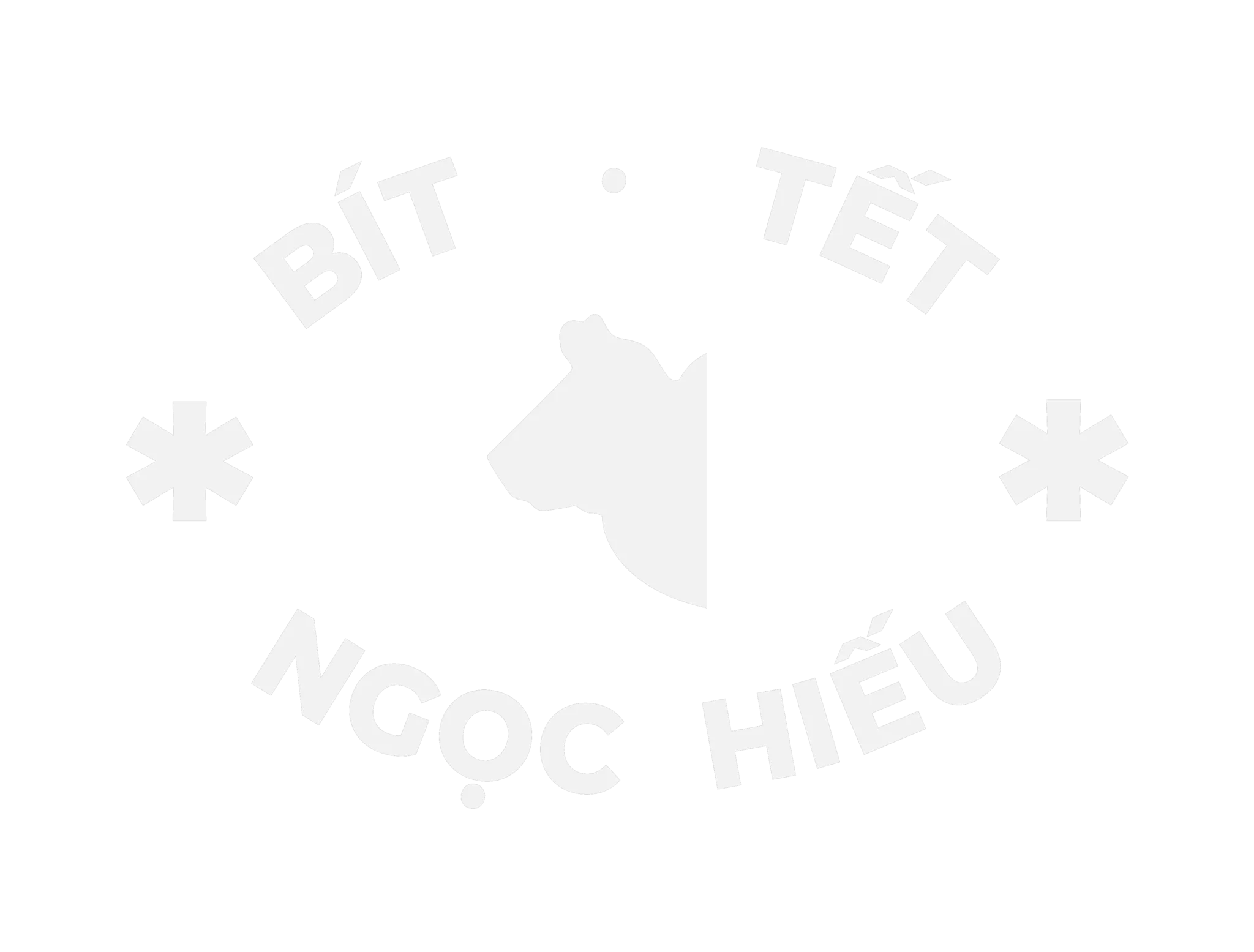 Logo footer